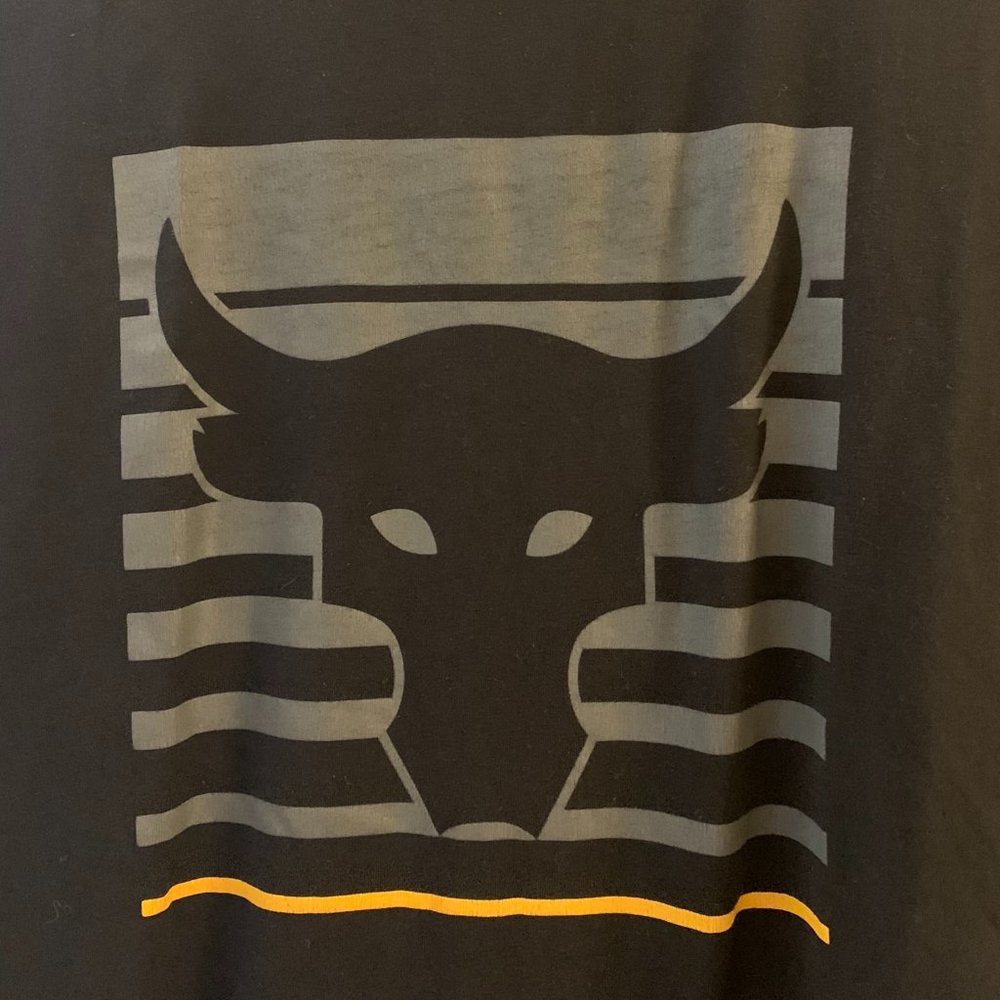 UA Project Rock Man Tshirt, Bull Vanish, size Small